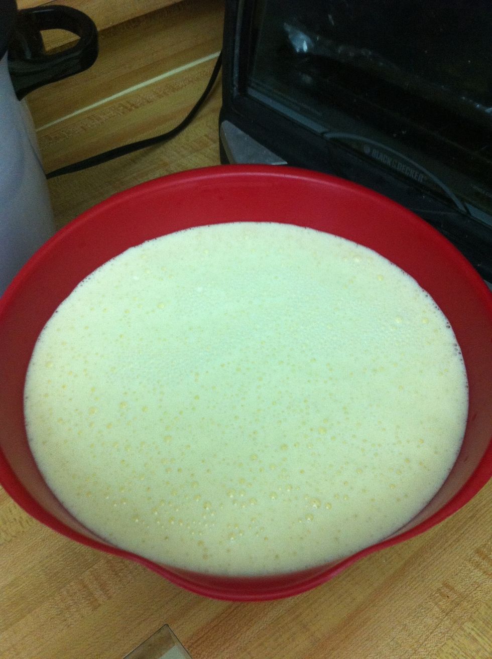 Sorry I didn't take a pic but blend all the ingredient except the banana. The mixture makes a total of 8 cups of the flan mixture