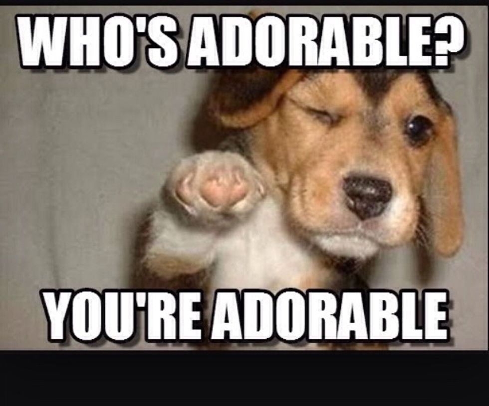 Sorry, it says "who's adorable? You're adorable."