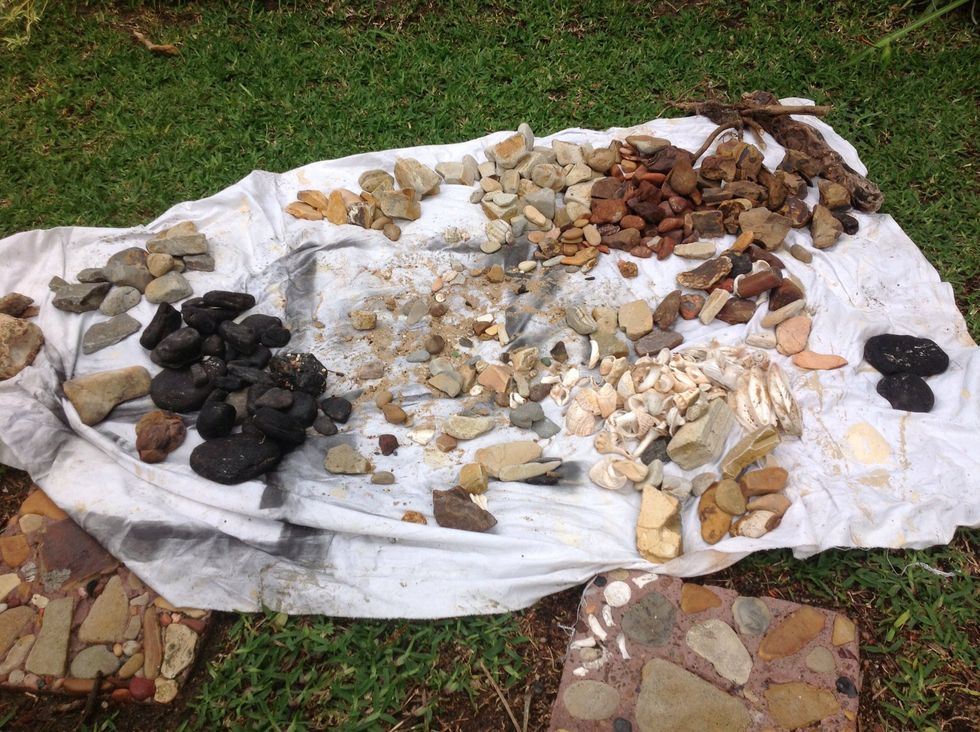 Sort rocks and shells.