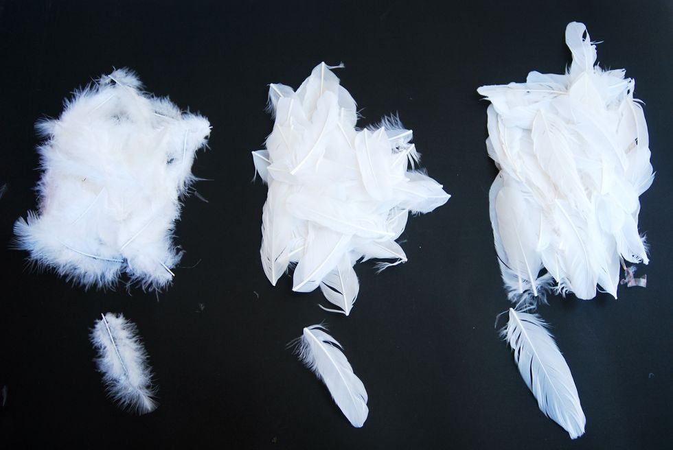 Sorted feathers  into three groups by size