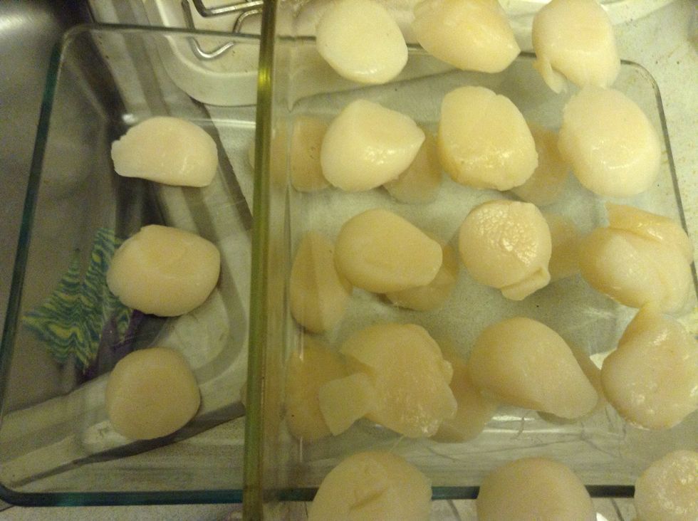 Space the scallops separated, and not close to each other