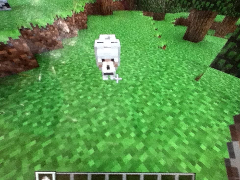 How to tame your dog in minecraft B+C Guides