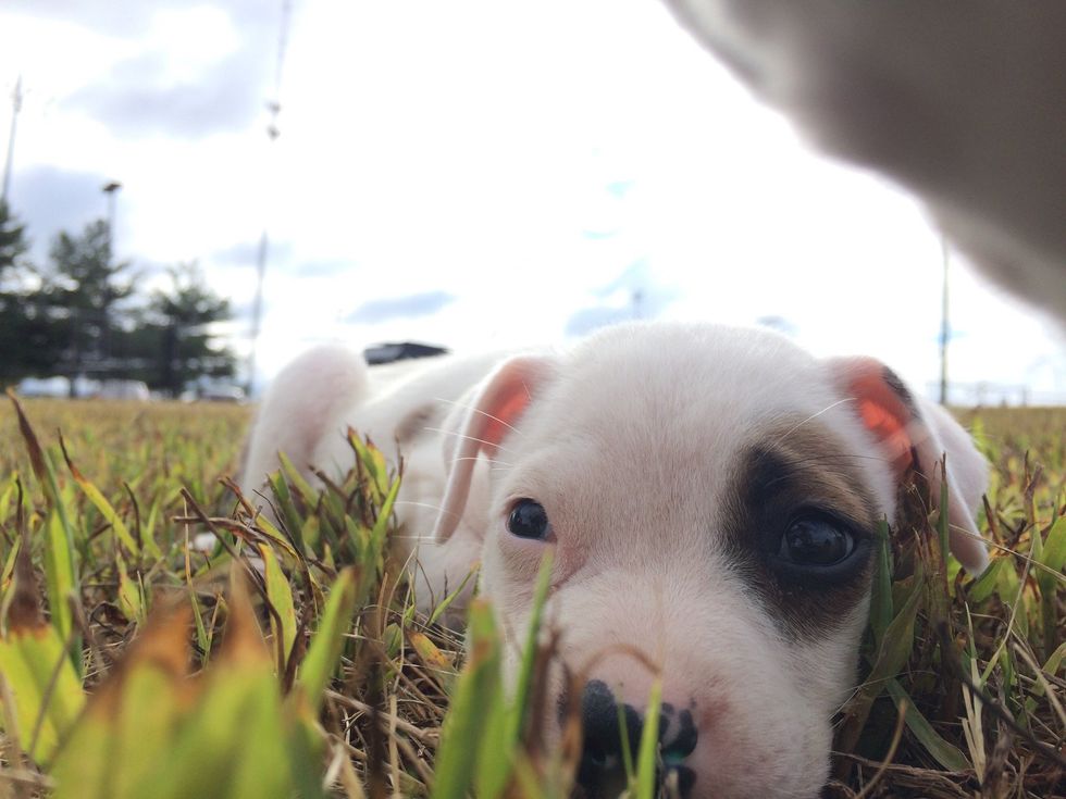 Spend lots of time outside playing and potty training.