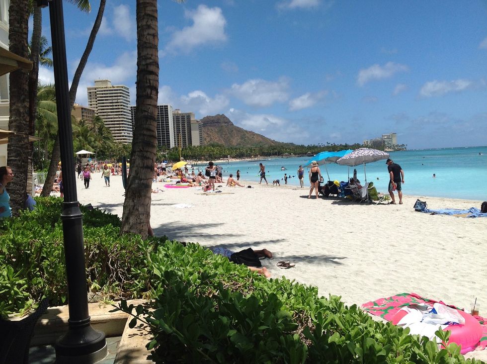 Spent a couple of days at Waikiki beach , absolutely loved it, far better than Bondi Beach I Australia .