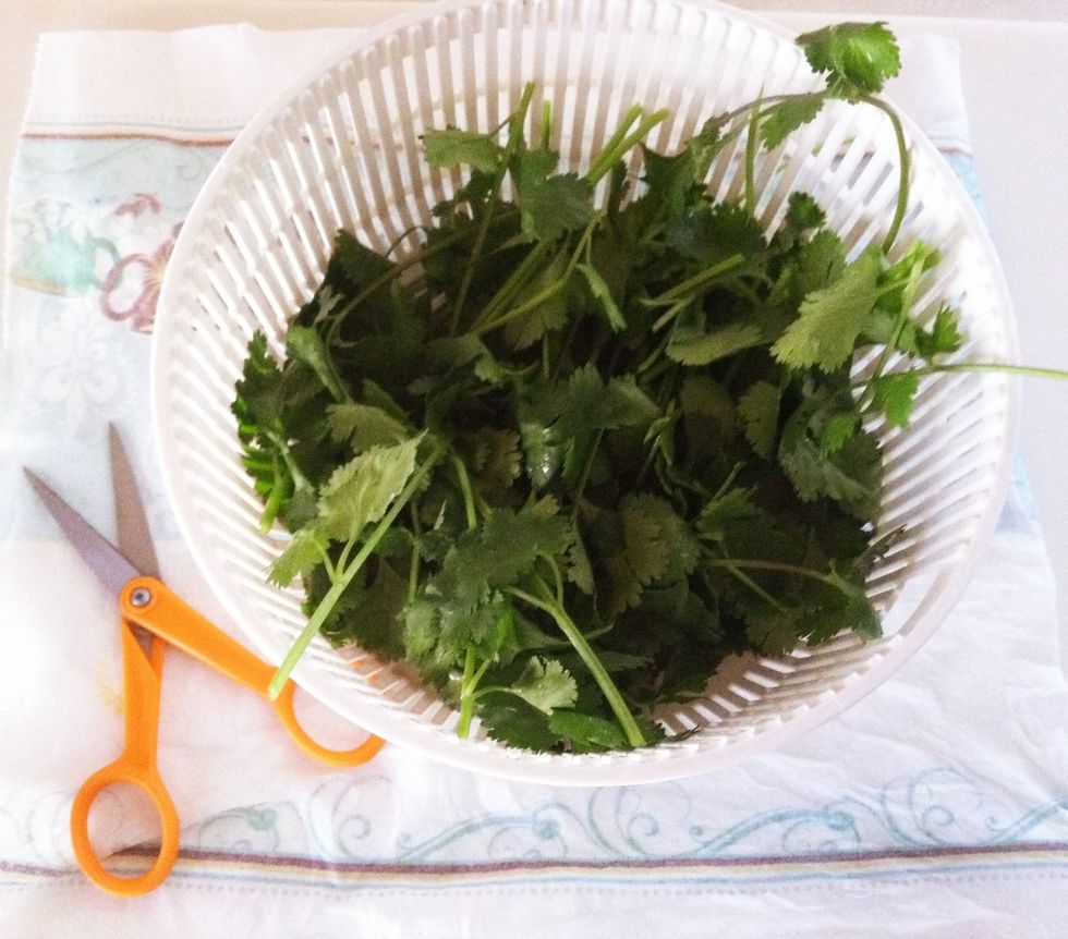 Spin dry or place colander on paper towels to absorb excess water. Use sharp scissors to snip leaves.