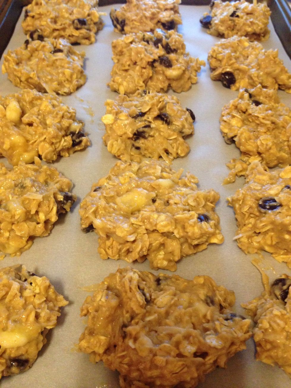 Spoon by rounded 2-3 Tablespoons onto a lined baking sheet, and flatten slightly. Bake for 20-30 minutes or until lightly brown.