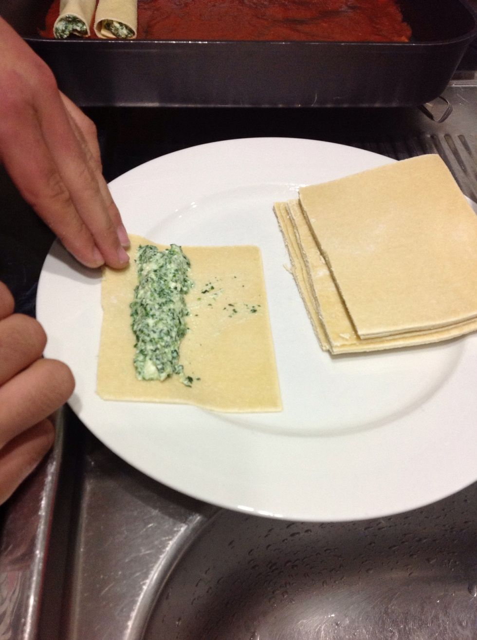 Spoon mixture on a cannelloni sheet