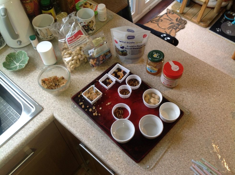 Spoon the mix into pastry cutters (cookie cutters) or small bowls. I've lined the bottom of some with dried fruit, dried mealie worms and peanuts to give them an added twist!