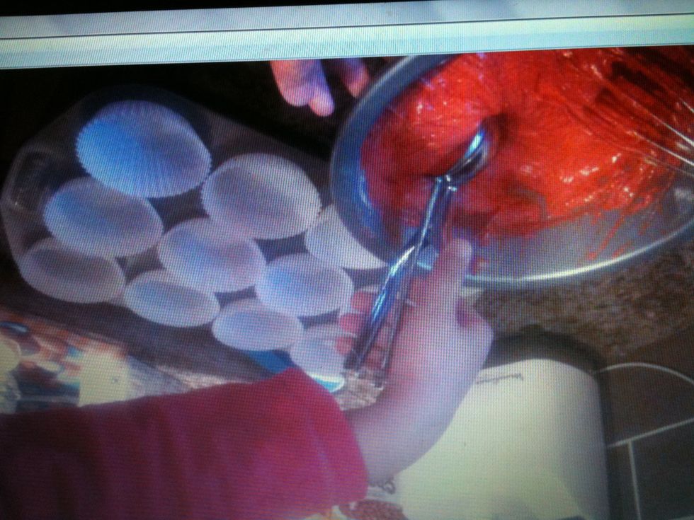 Spoon the mixture into the paper cases until 2/3 full.