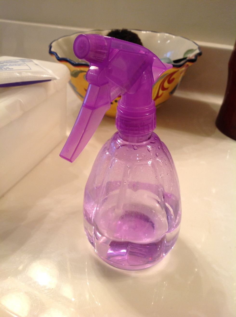 Spray bottle