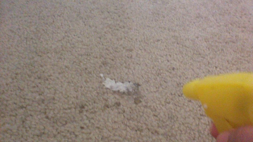 spray on the stain let it sit for 30 secs or so