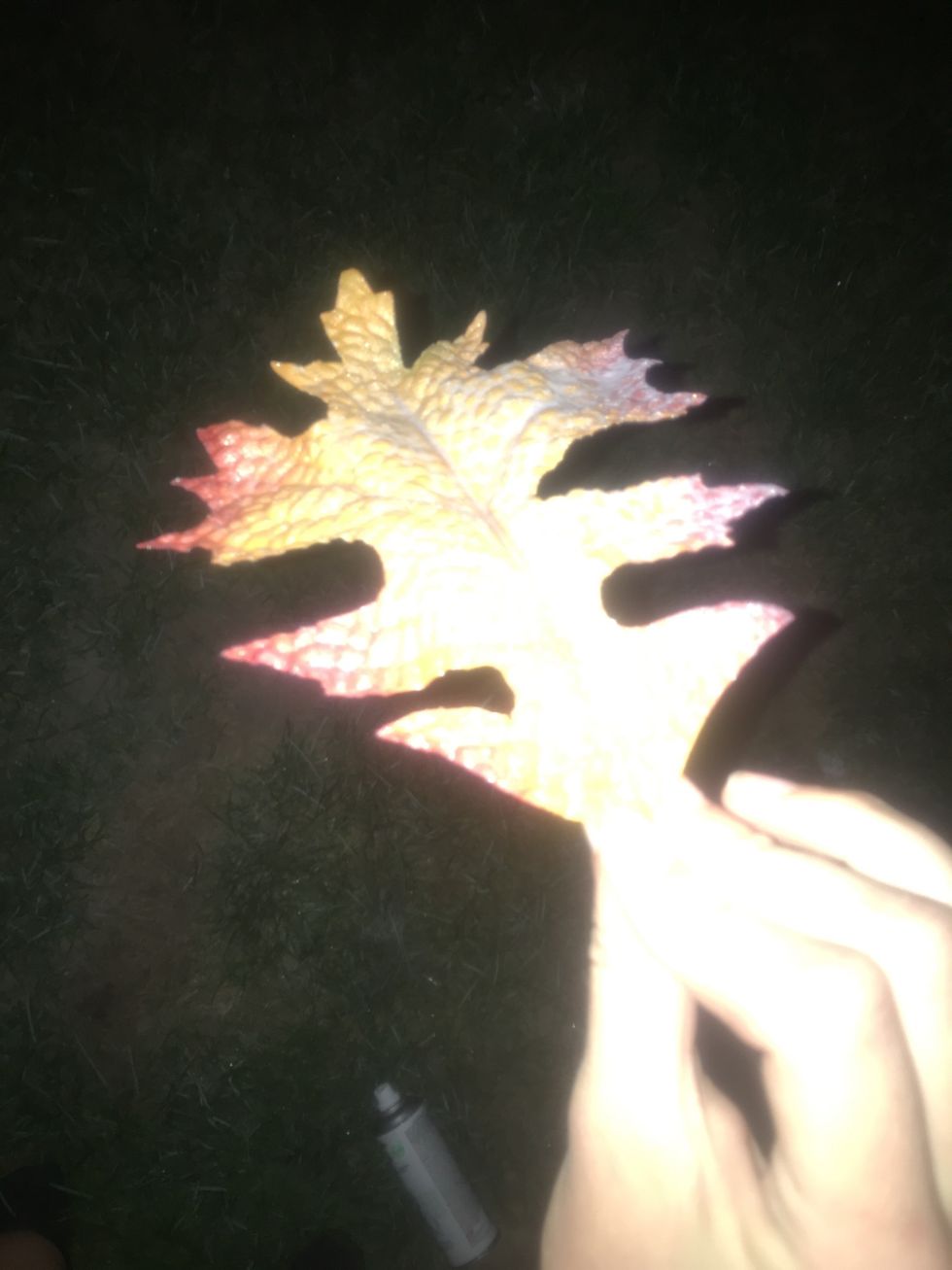 Spray paint the leaves a different color if you wish