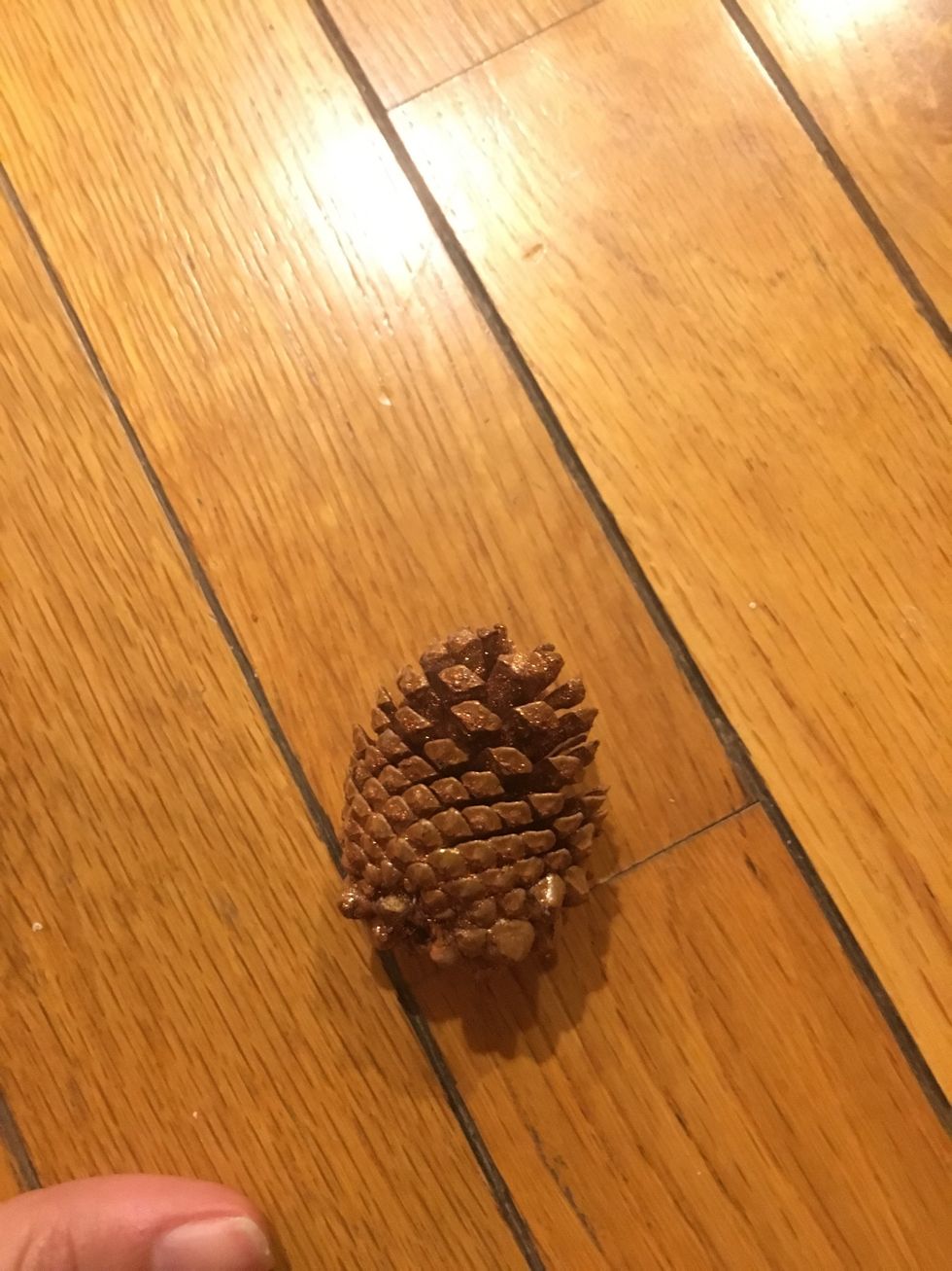 Spray paint the pine cones how you would like