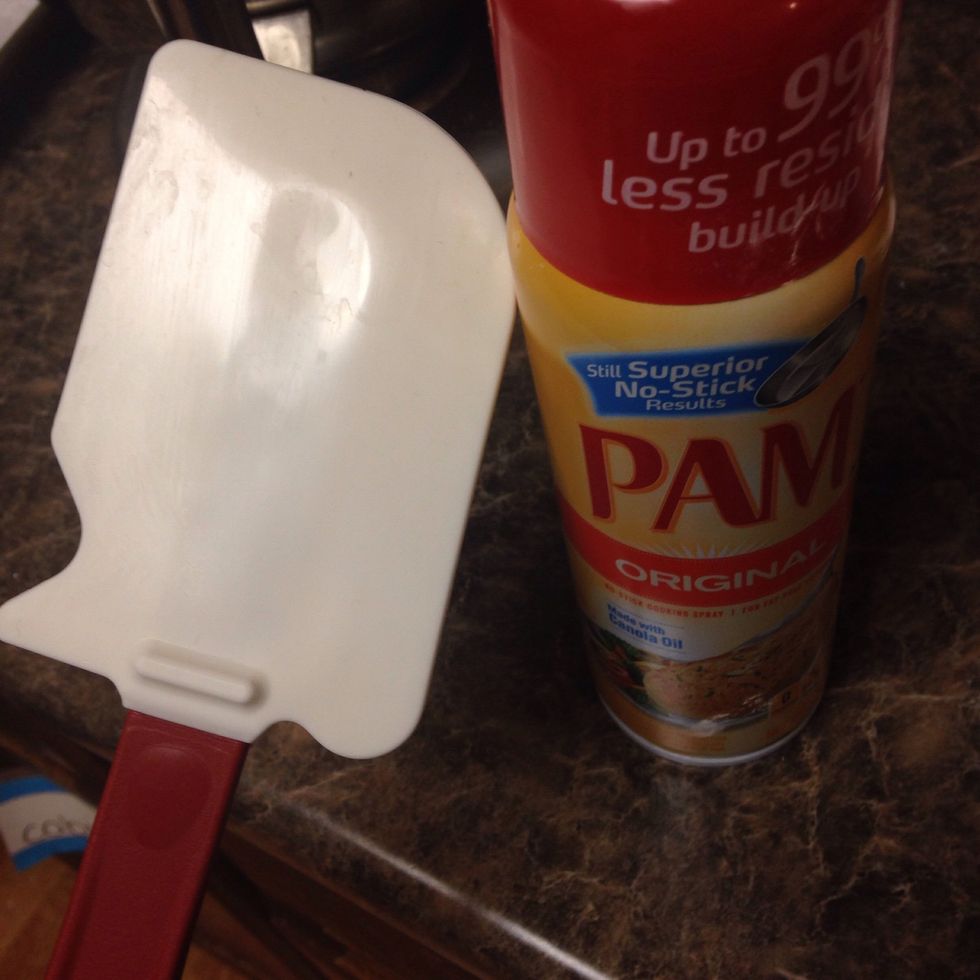 Spray spatula.