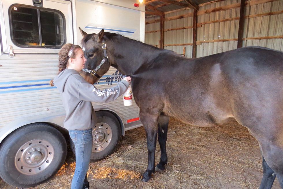 Spray the body lightly with Show Sheen and you're ready to go!