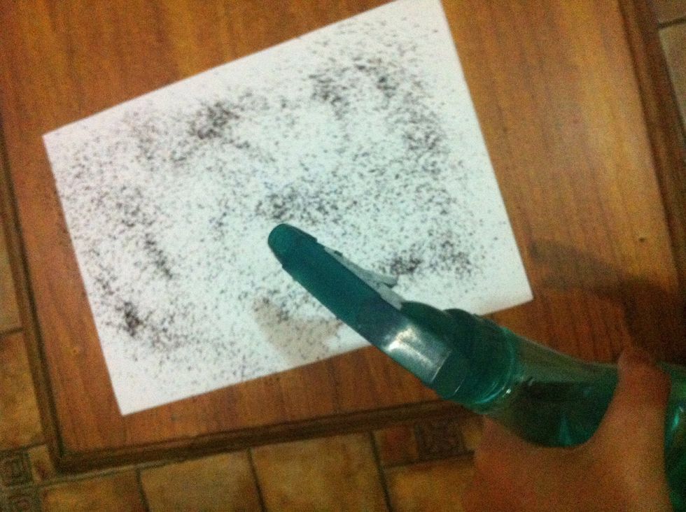 spray water with spray bottle