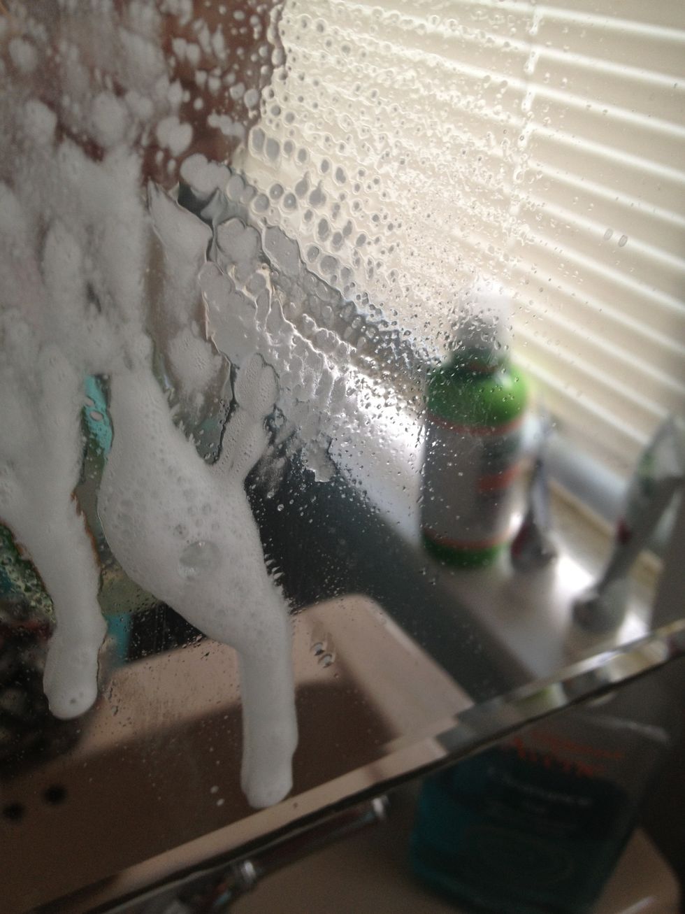 Spray well on the entire surface.