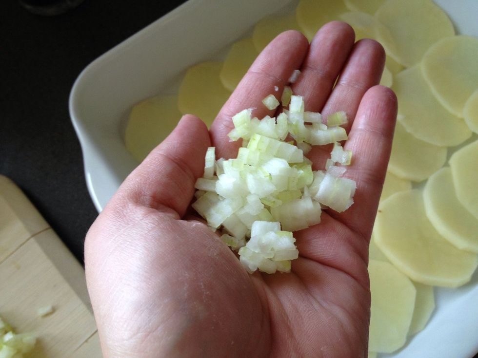 Spread a hand full of onion over the potatoes.