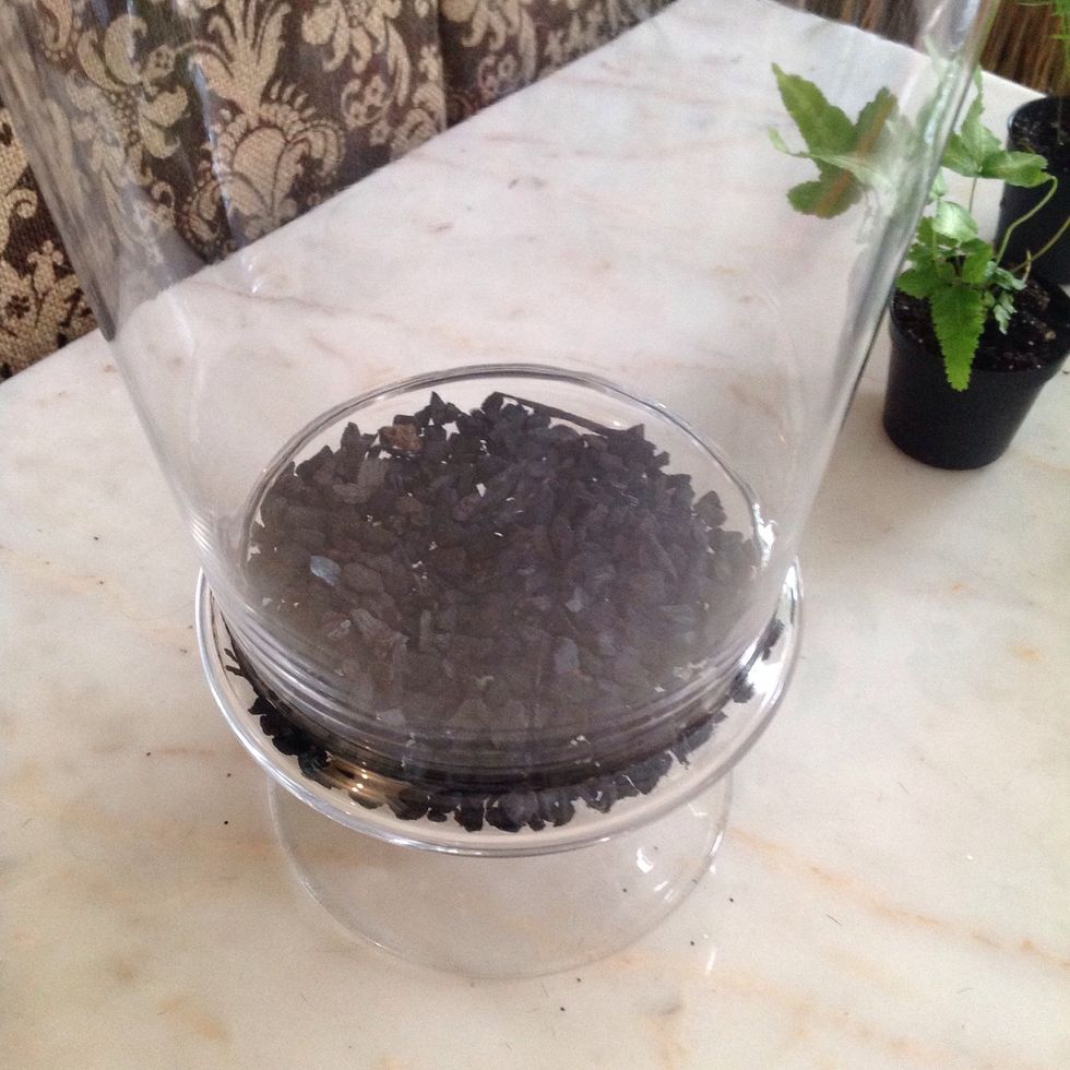 Spread a layer of charcoal on the bottom of your container.