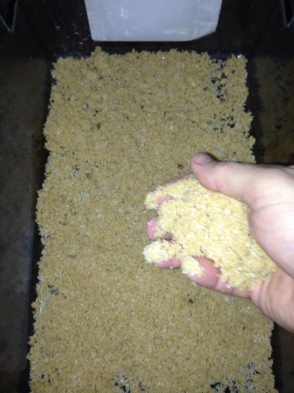 Spread a layer of your brine mix over the bottom of a large container that will fit in your refrigerator. Brining will draw most of the moisture out of the fish and prepare it to smoke better.