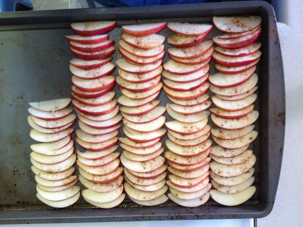 Spread apples on cookie sheet and sprinkle cinnamon on apple slices.