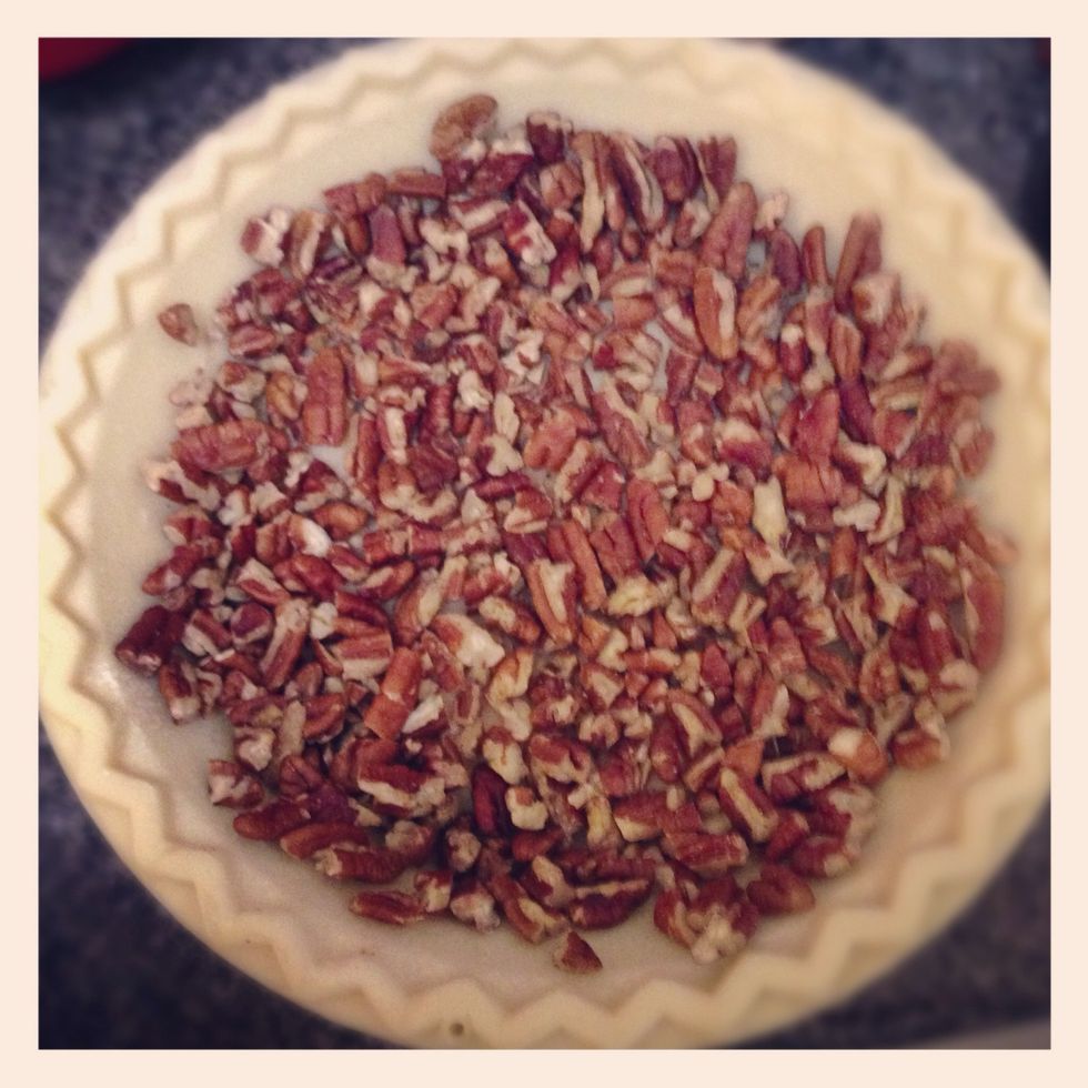 Spread quartered pecans across bottom of pie shell and up the sides if you can.