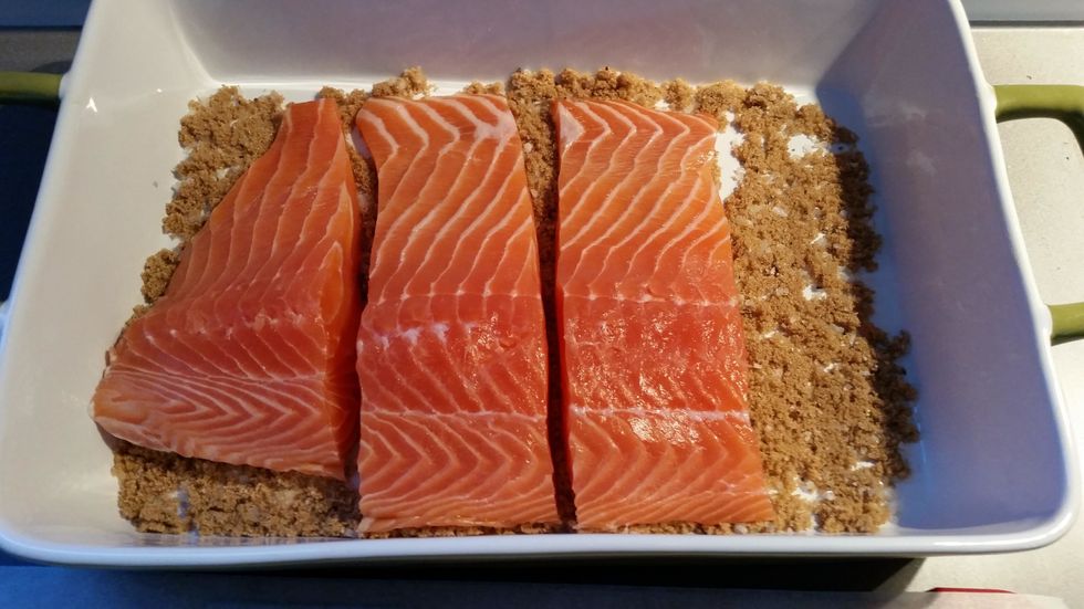 Spread some of the mixture on the bottom of a glass or ceramic casserole dish. Leave a little space between the strips of Salmon to allow the Salmon to loose it's moisture.