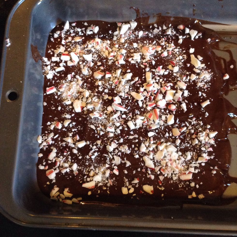 Sprinkle candy cane dust over top of chocolate.