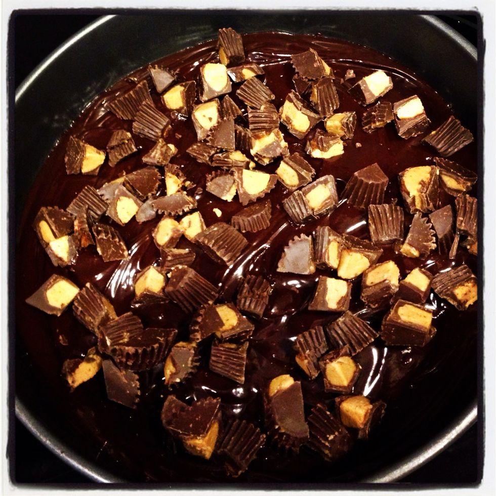 Sprinkle chopped Reese cups over chocolate layer. Put in freezer for 10 mins.