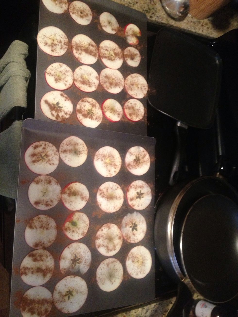 Sprinkle cinnamon on top of the slices. Preheat the oven to 200 degrees and place baking sheet with apple slices inside for 2 hours.