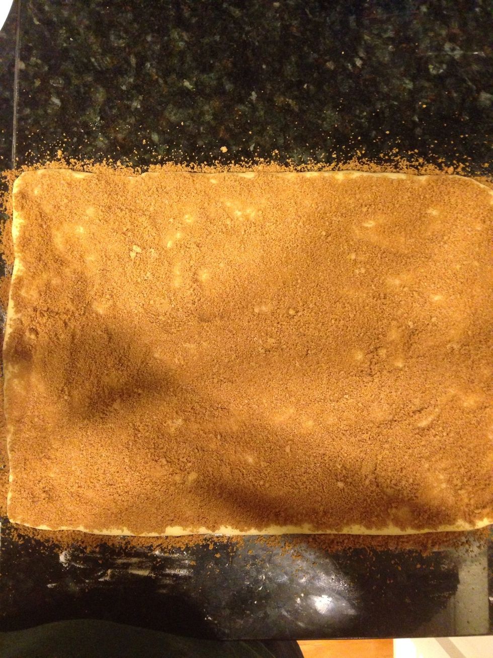 Sprinkle the combination onto the rectangle. (Also add the raisins)