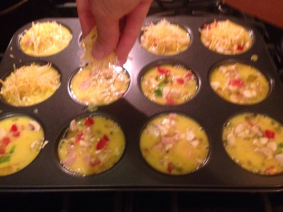 Sprinkle the top of each with your favorite shredded cheese.