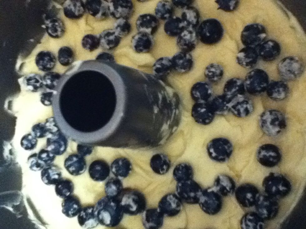Sprinkle with half the blueberries.