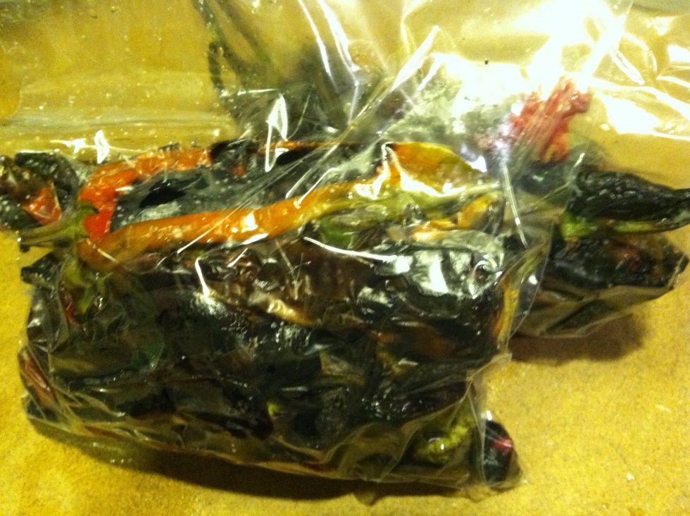 Squeeze as much air out the bag before you seal and stick it in the freezer. Congratulations! I'll cover peeling and preparation in another guide.