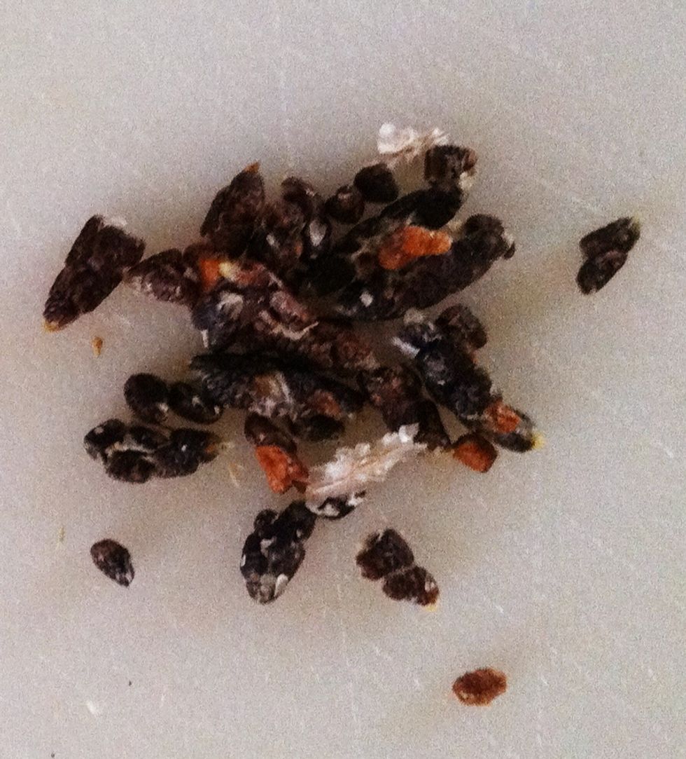 Squeeze the pods and remove the seeds.