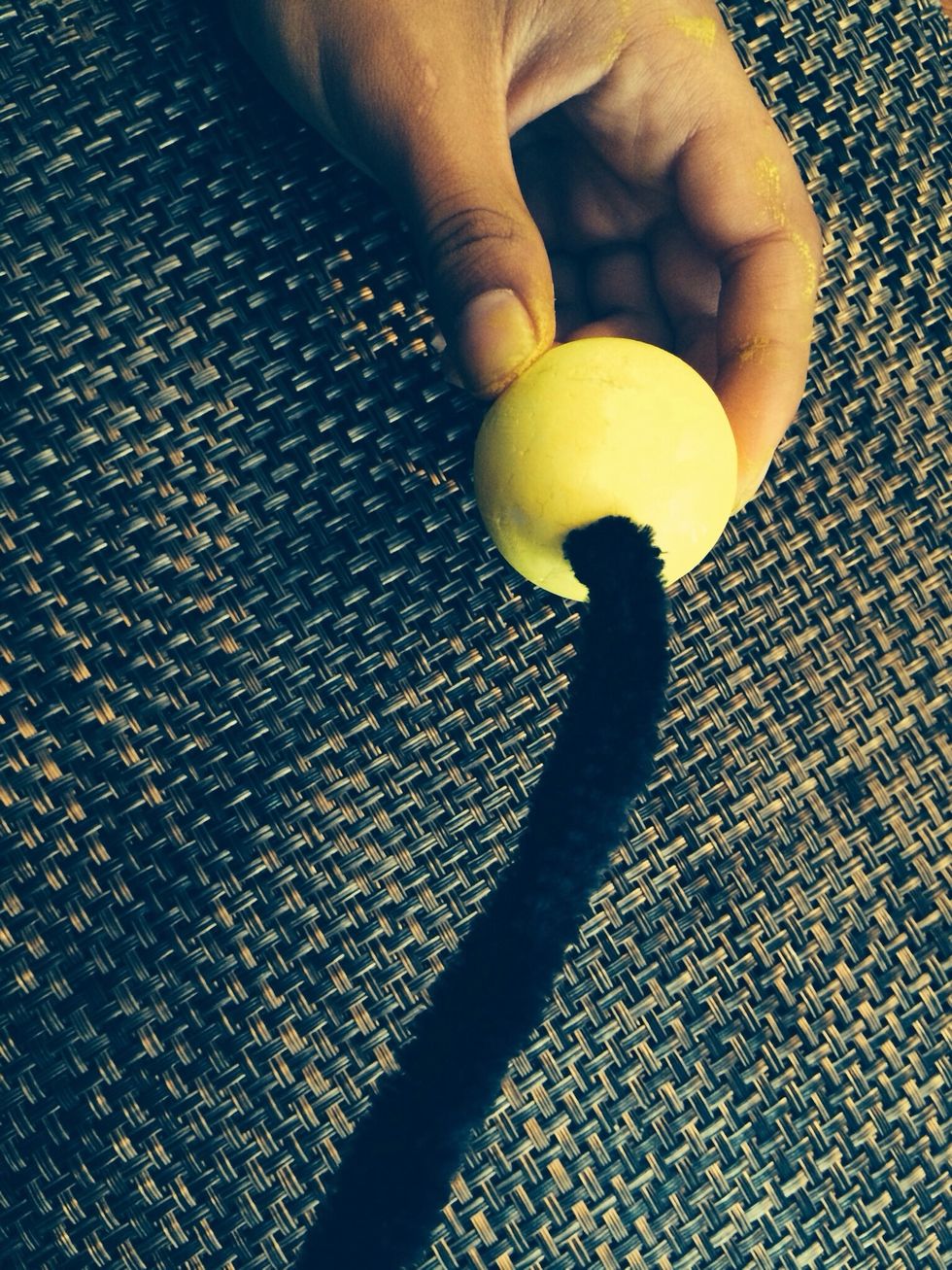 Stab a pipe cleaner into the middle of a styrofoam ball.