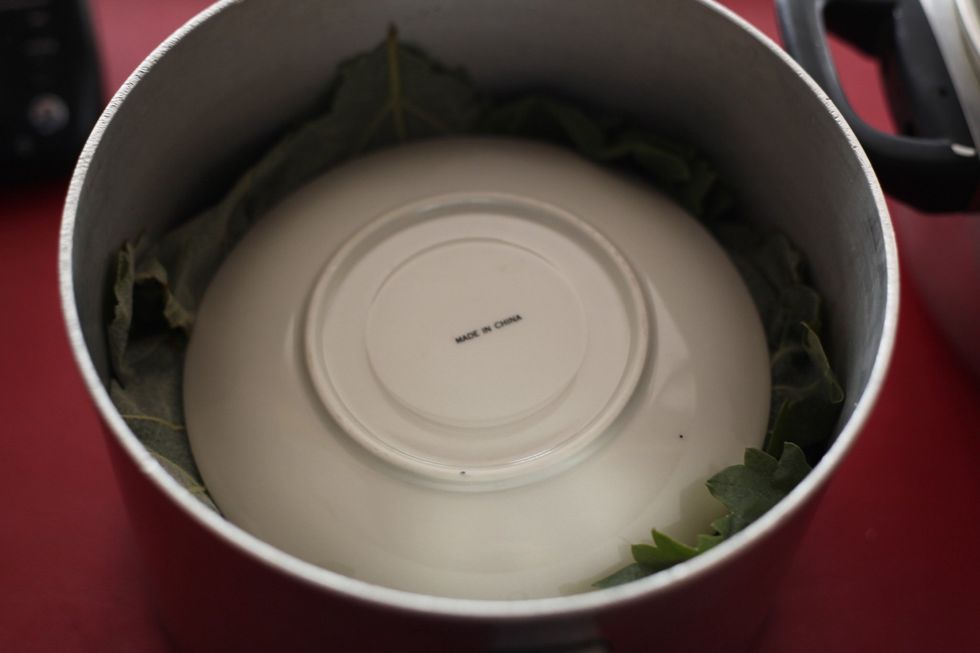Stack the vine leaves exactly the same way as the cabbage, cover with plate, fill with water and cook the same way as the cabbage. 20-25 minutes on high heat. After that You're done!!