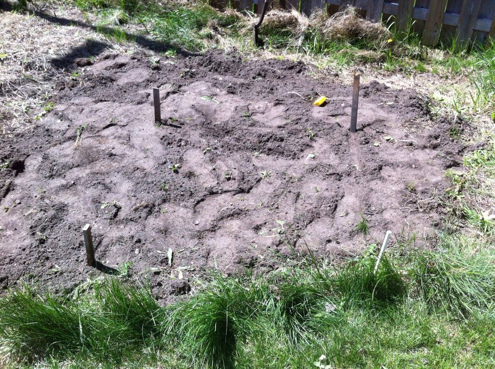 Stake out an area that is 4' x 4'. This will be the size of your box.