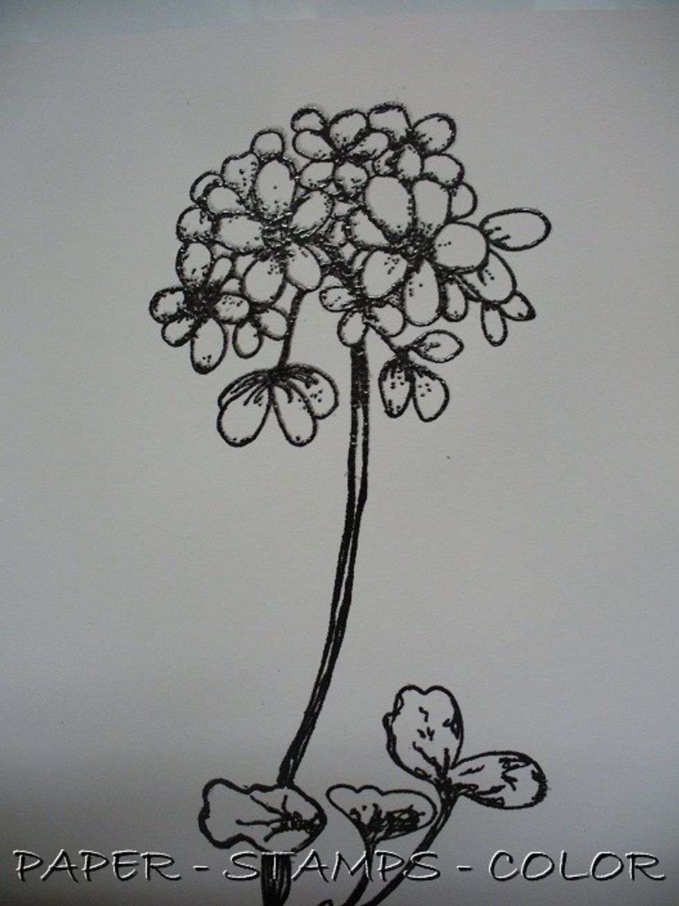 Stamp the Geranium stamp from Unity Stamps onto a seperate piece of cardstock and heat emboss with clear embossing powder.