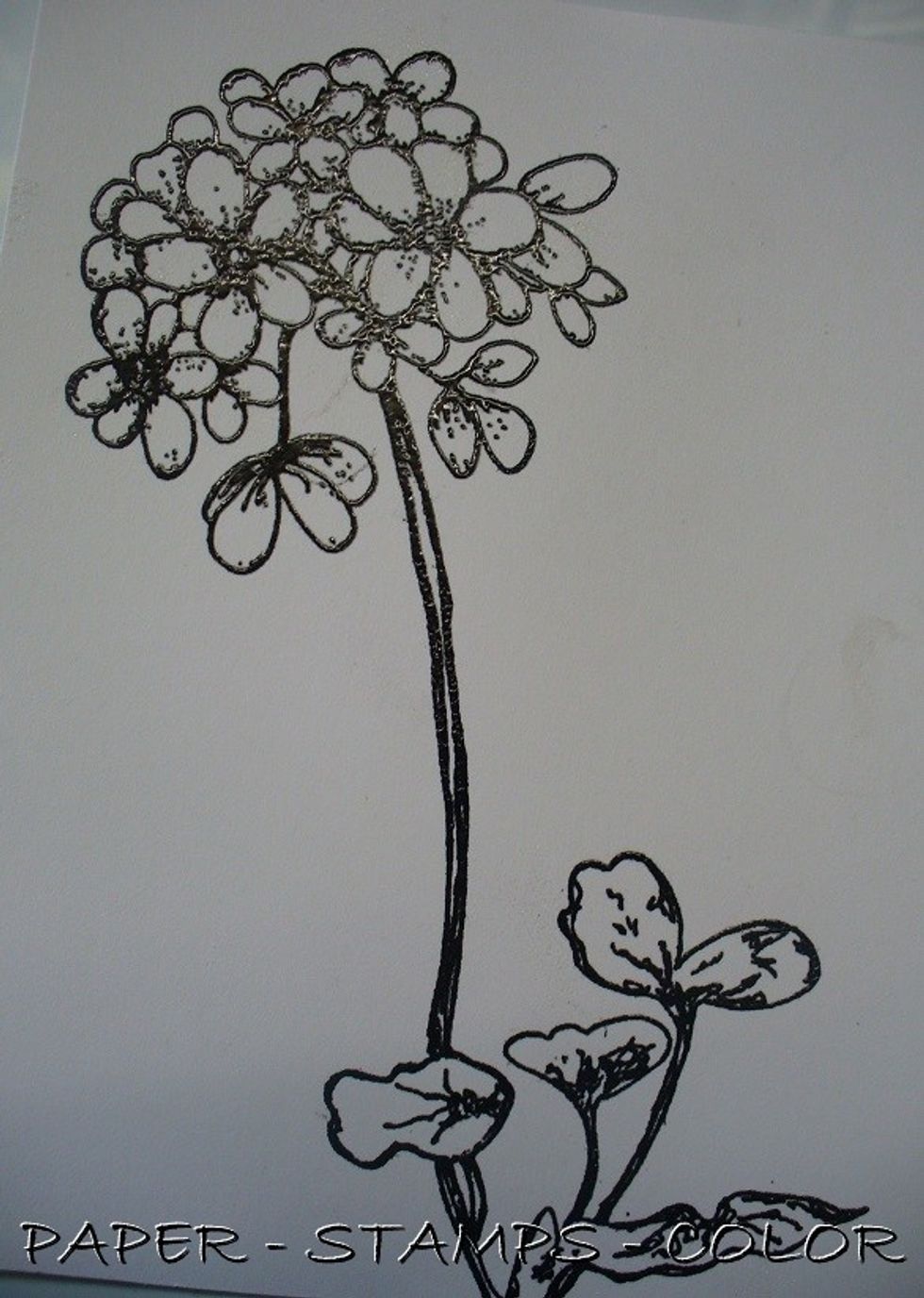 Stamp the Geranium stamp from Unity Stamps onto a seperate piece of cardstock and heat emboss with clear embossing powder.