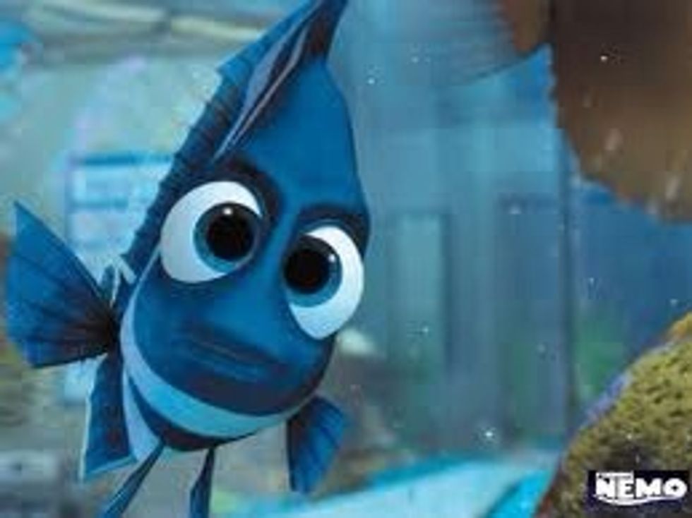 Staring contest!!! Movie: finding nemo