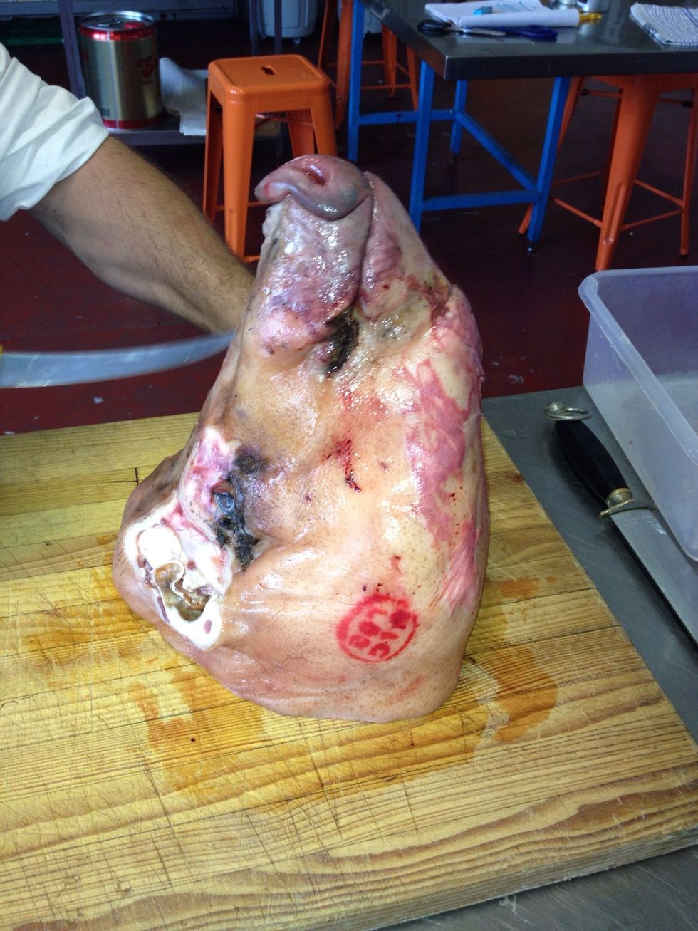 Start boning knife at the snout and cut the whole way to the base of the head