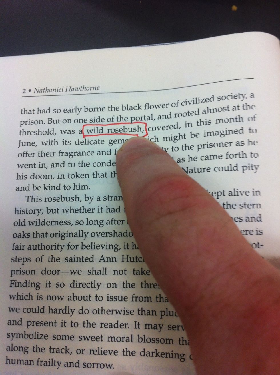 Start by finding and marking an example of your motif or image. Mark or highlight it so you can return to it later for the journal.