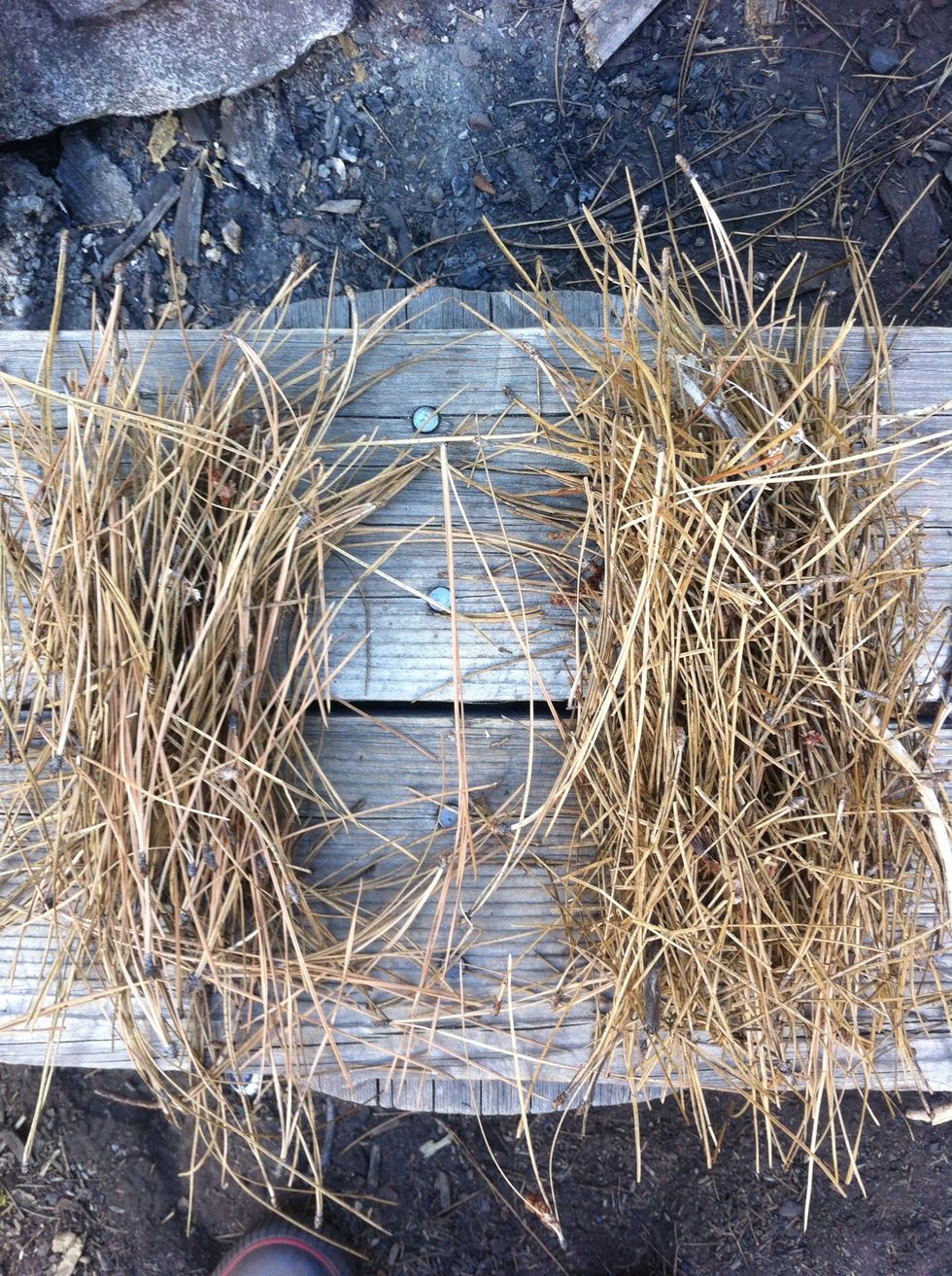 start by gathering some dry pine needles. if there are none, you can shave off small pieces of a dry stick.