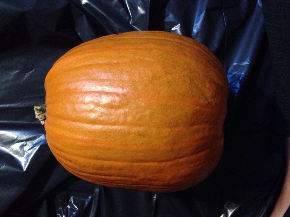 Start by lay out a plastic bag, because this is a messy job :)