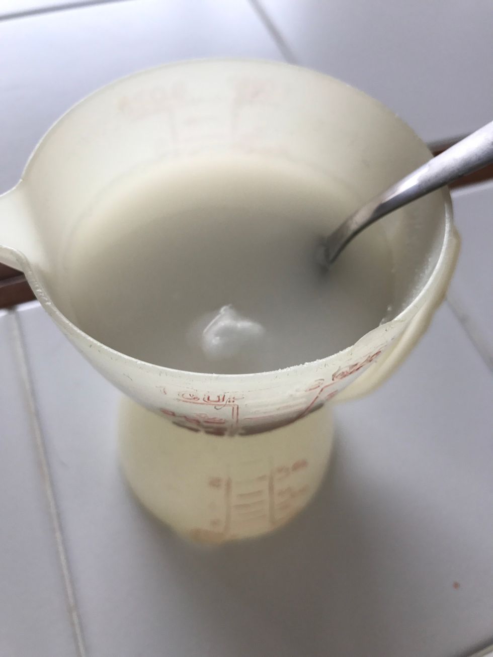 Start by mixing warm water in borax in a container