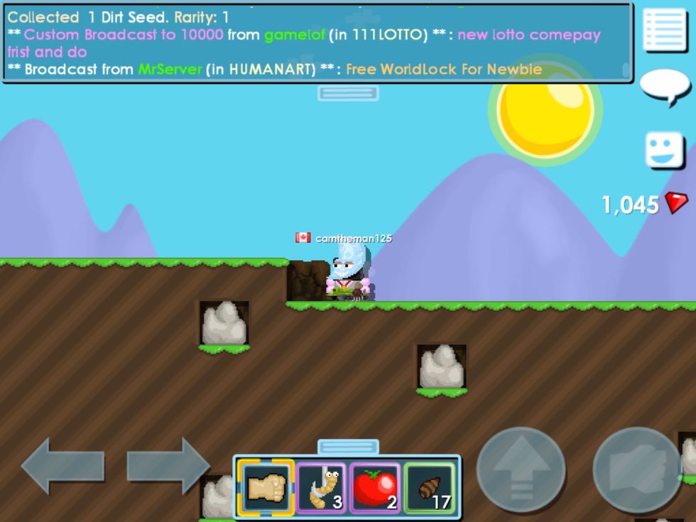 Start digging or  seeds