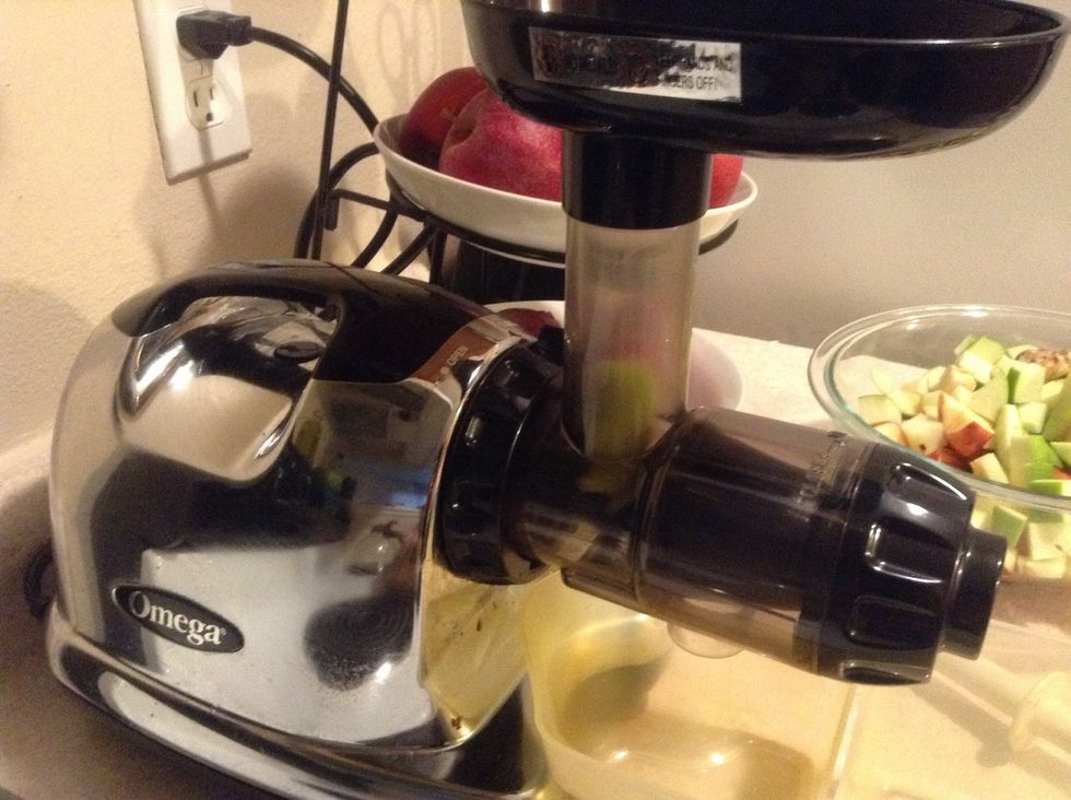 Start feeding the juicer kiwis!