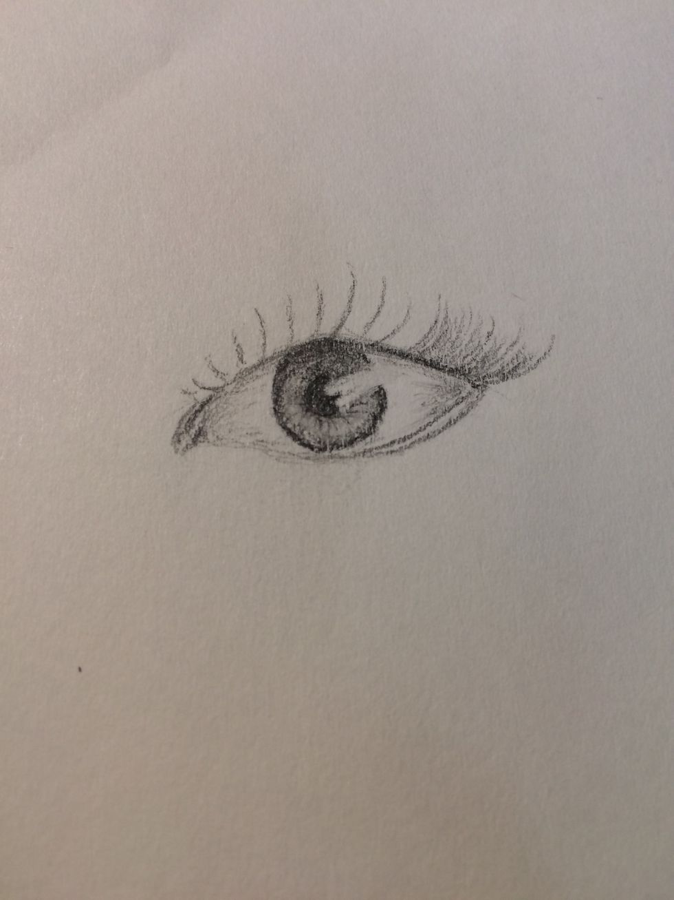 Start filling them in