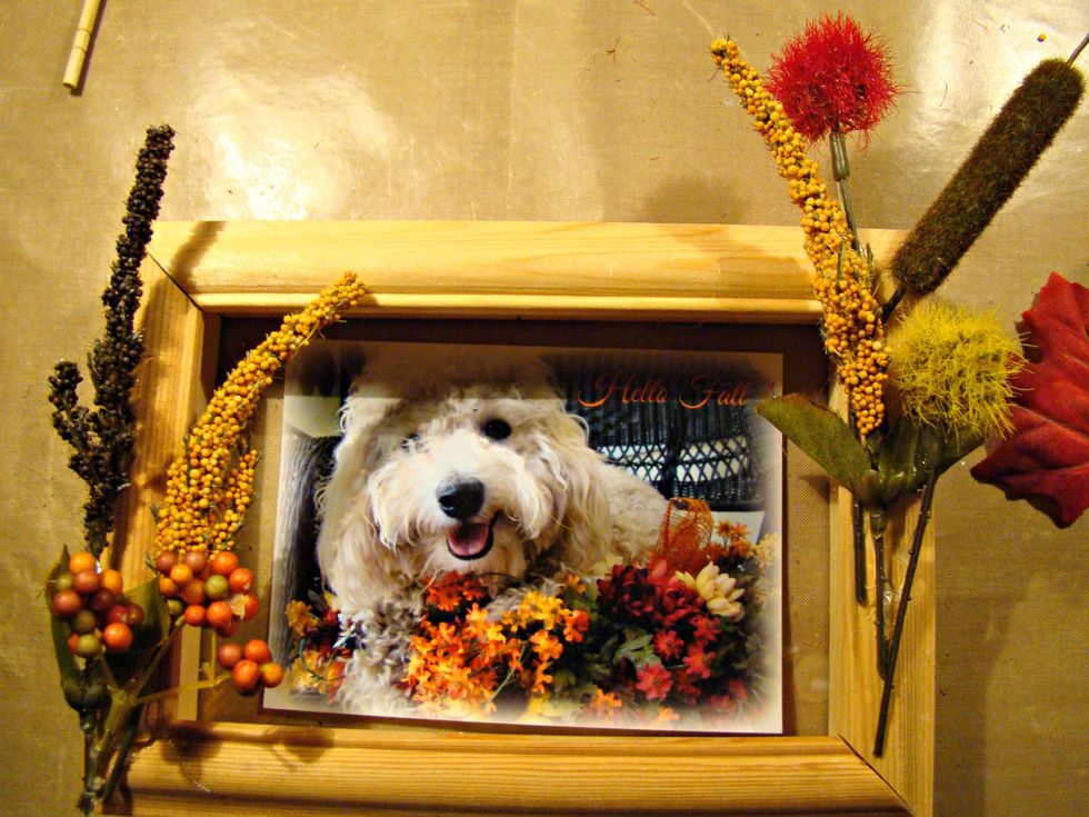 Start gluing down your flowers.